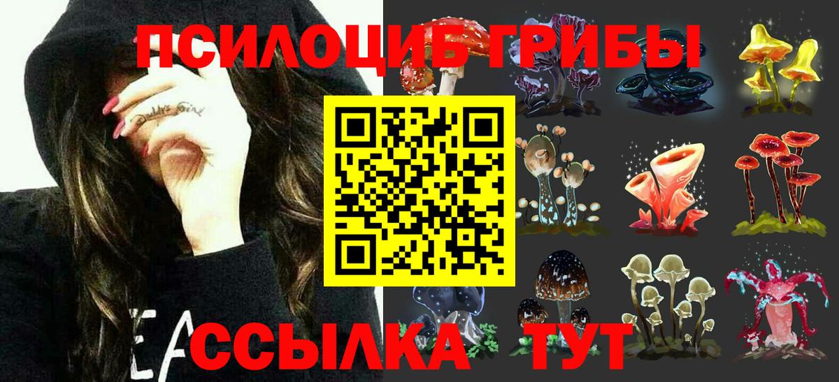 Псилоцибиновые грибы Psilocybine cubensis Муром